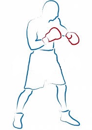 Boxer Stilizzato